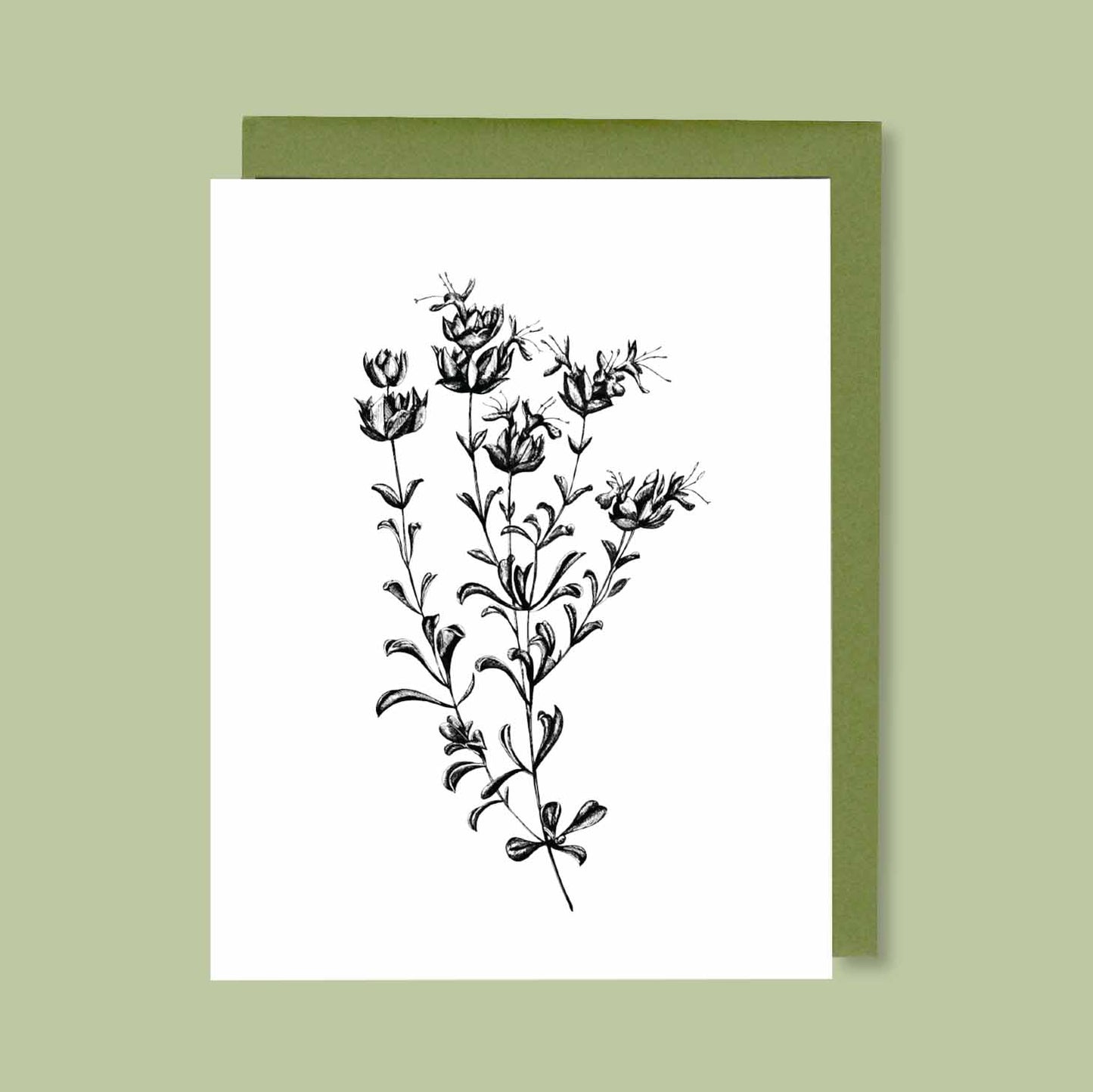 Desert Sage Greeting Card