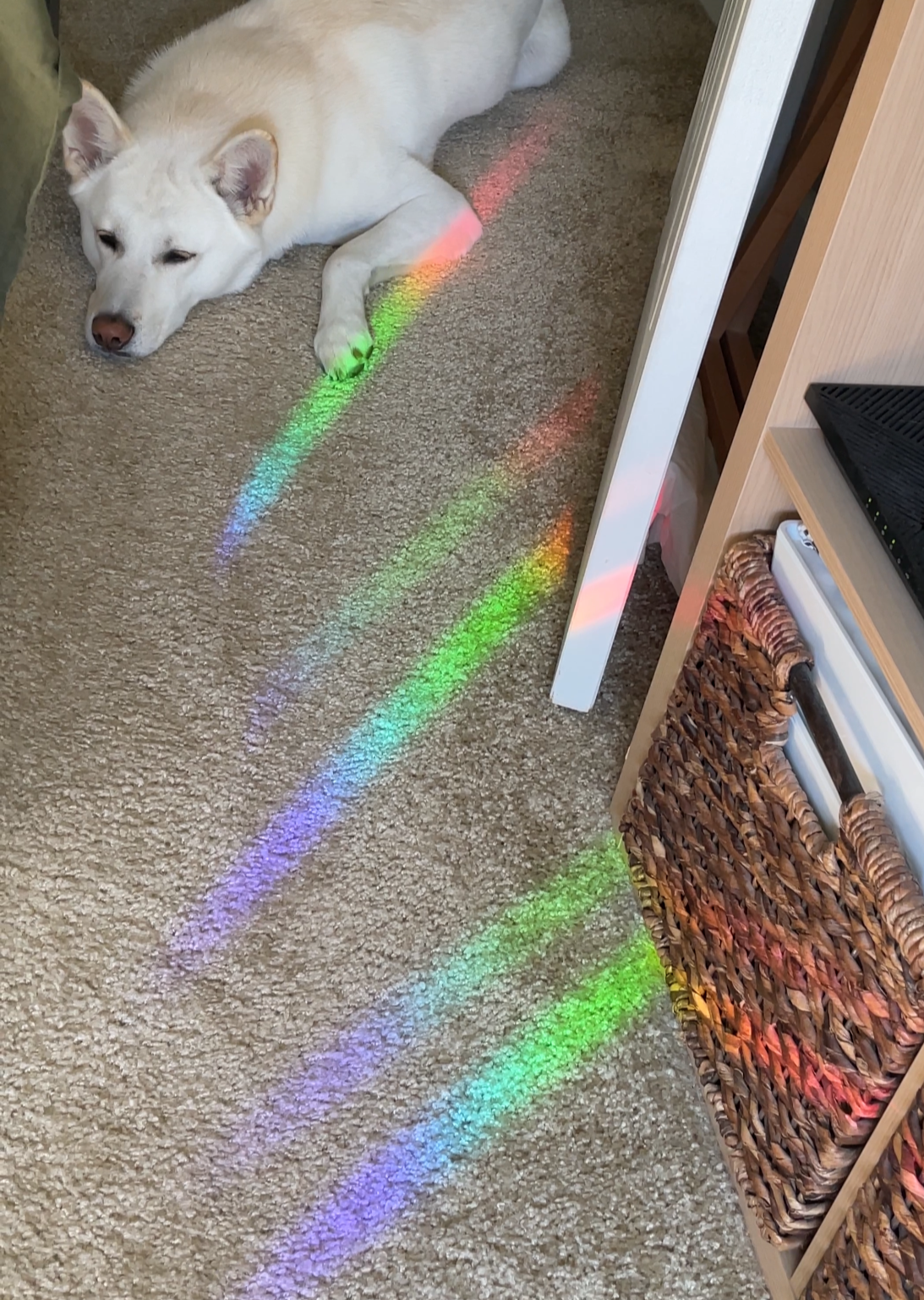 Roller Rink Rainbow Maker Decal Sun Catcher