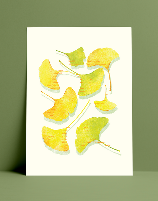 Ginkgos