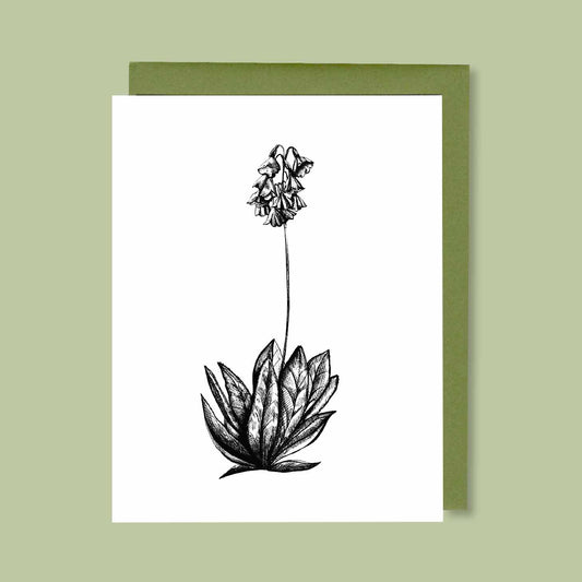 Sikkim Primrose Greeting Card