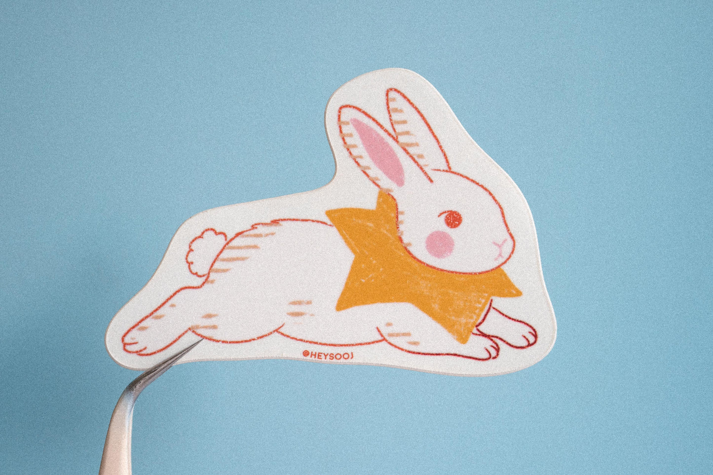 Star Bun Sticker