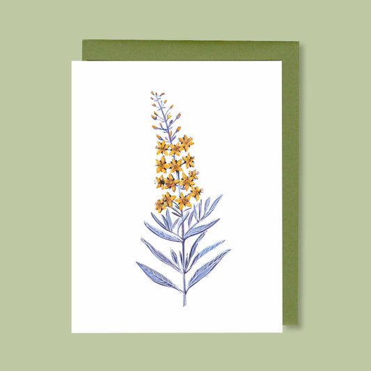 Swamp Candle Greeting Card